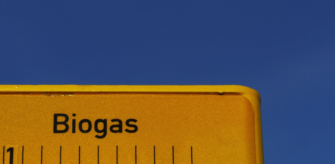 Biogas upgrading to biomethane in Brazil: Networks, technologies, and industrial pathways